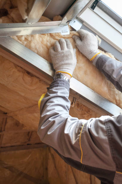 Best Insulation Removal Services  in Lake Kerr, FL